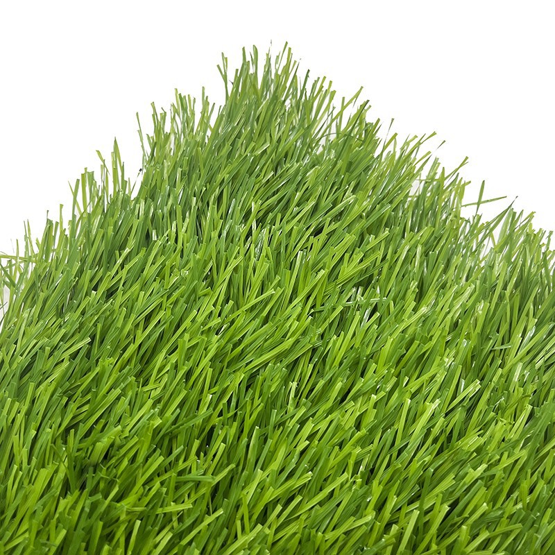 5 5