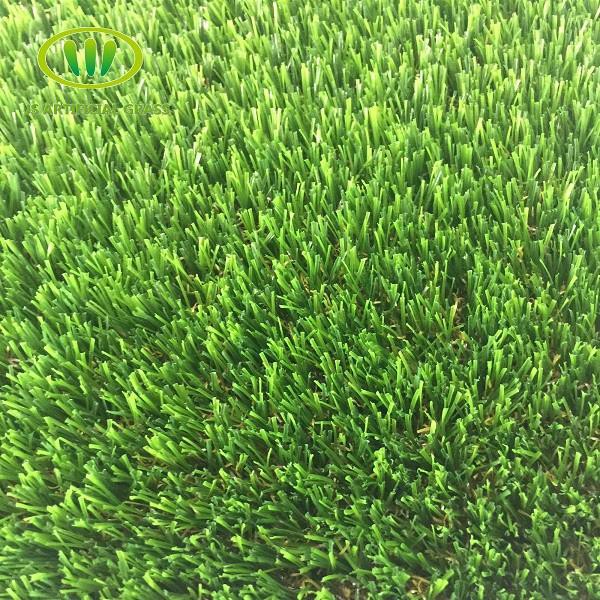 Intensify Turf Rolls