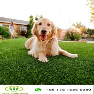 Césped sintético para perros