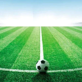 Campo de fútbol de césped