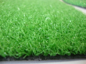 Práctica de interior Putting Green