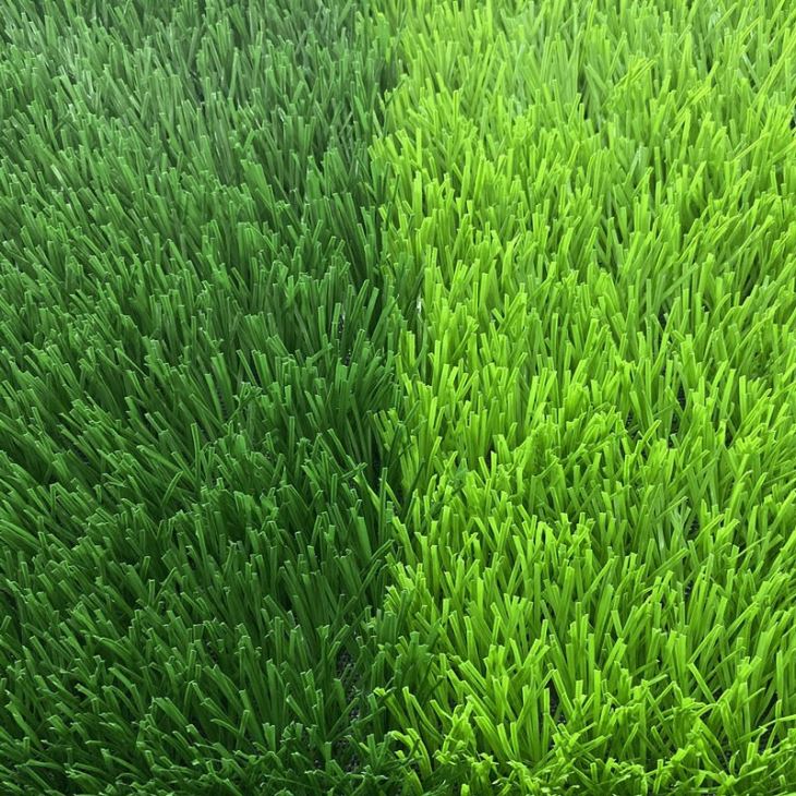 Playground Football Grass