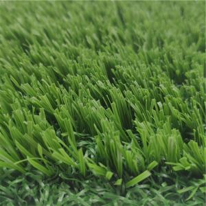 Todo verde sin llenar hierba de fútbol