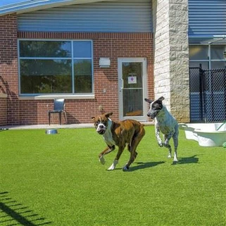 Alfombra de jardín para mascotas Alfombra de césped artificial para jugar al aire libre